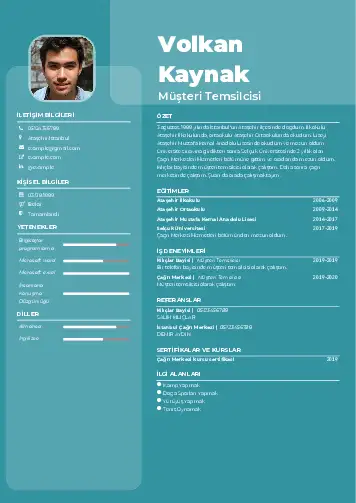 cv indir